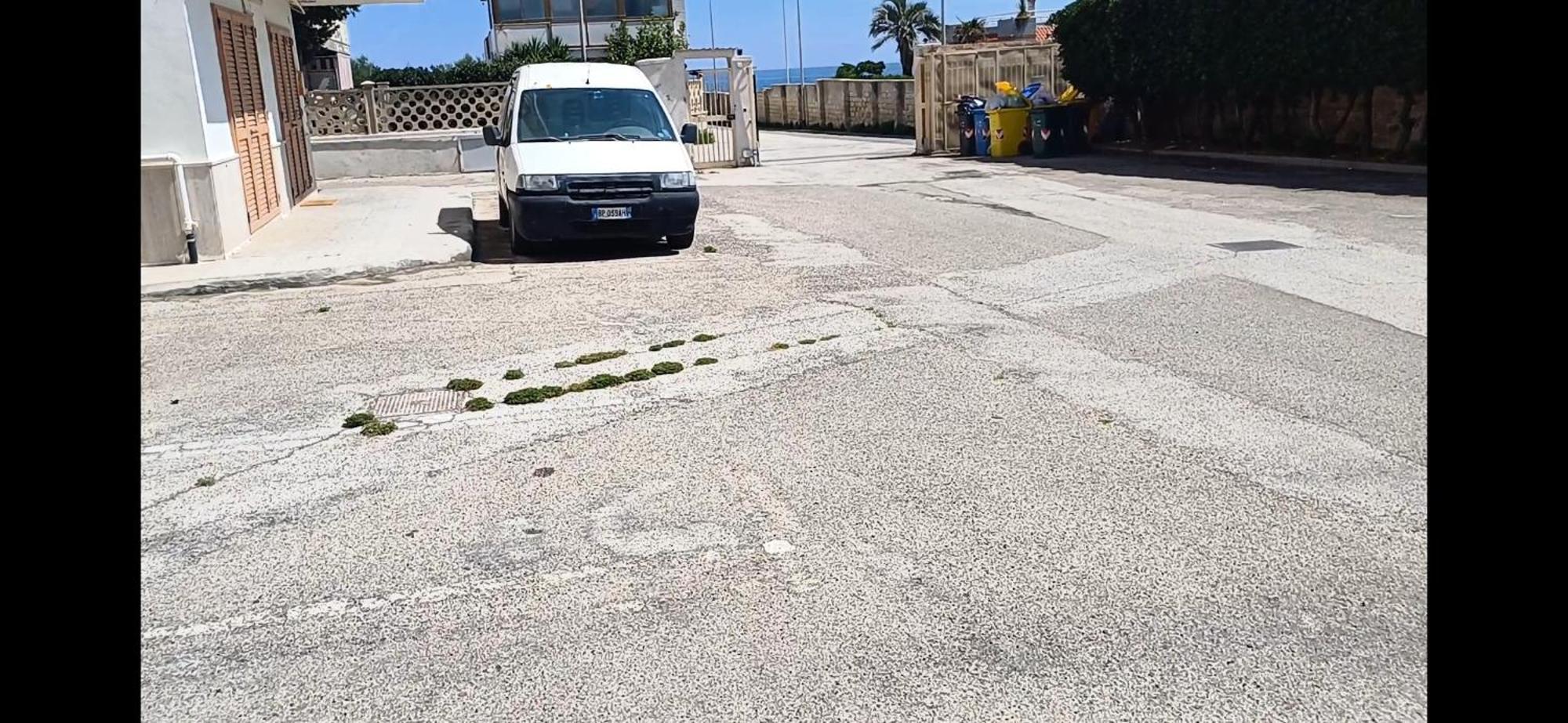 Yume Beach Bari Dış mekan fotoğraf